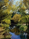 morses-creek-bright-victoria-australia
