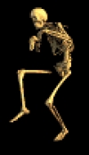 skeletone