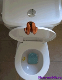 Унитаз