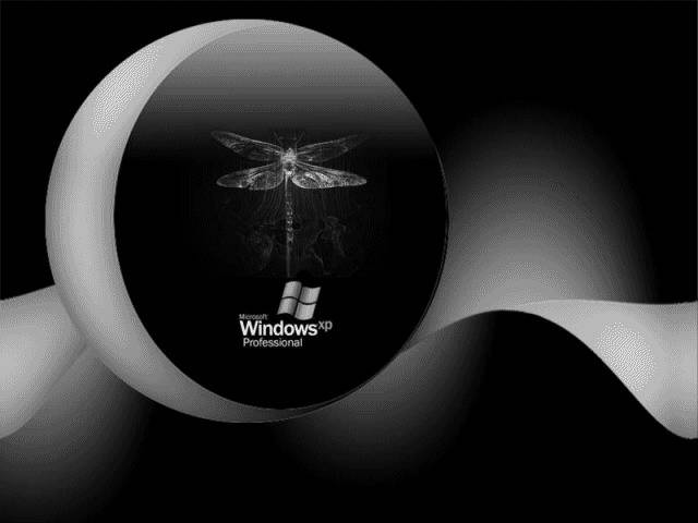 Windows XP